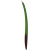 1 manglar