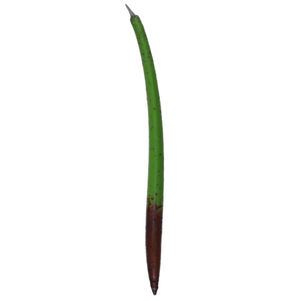 1 manglar